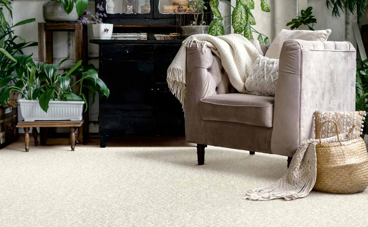Sitting area with accent chair and beige carpet