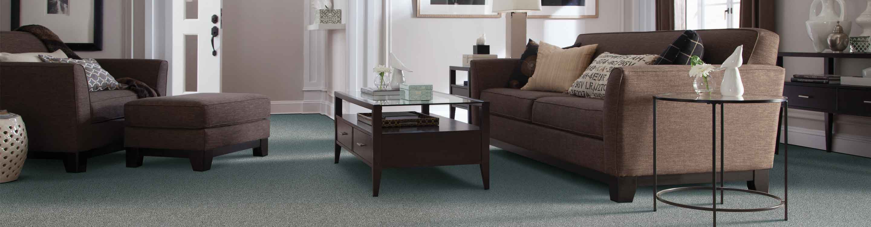 Living room with brown couch and gray carpet